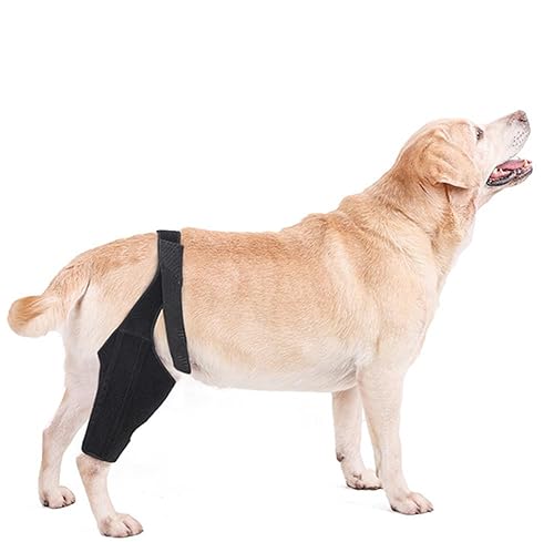 SUYUKU Hunde-Kniebandage für ACL mit seitlichen Stabilisatoren, Chirurgie, Erholung, Leckmanschette, Gelenkgelenkstütze, Beinbandage, Karpalstütze, schützt Wunden, heilt Verletzungen (Schwarz, S) von SUYUKU