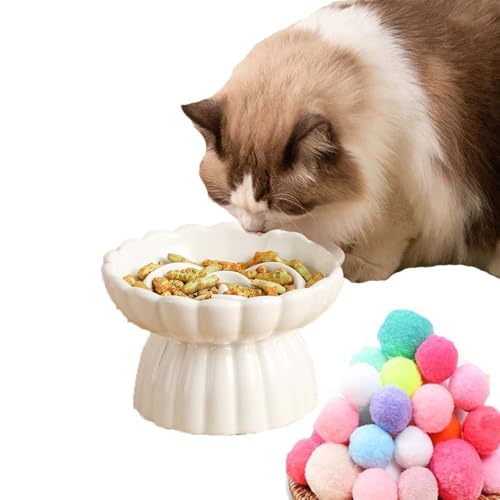 SUYUKU Katzennäpfe für langsames Füttern, erhöhtes Haustierfutter für Nackenstütze, Keramik, Haustiernapf, Anti-Erbrechen, Katzenfutterteller mit Katzenspielzeugball für Katzen, Welpen, Hunde (Weiß SUYUKU Katzennäpfe für langsames Füttern, erhöhtes Haustierfutter für Nackenstütze, Keramik, Haustiernapf, Anti-Erbrechen, Katzenfutterteller mit Katzenspielzeugball für Katzen, Welpen, Hunde (Weiß von SUYUKU