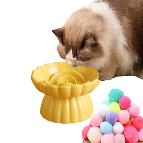 SUYUKU Katzennäpfe für langsames Füttern, erhöhtes Haustierfutter für Nackenstütze, Keramik, Haustiernapf, Anti-Erbrechen, Katzenfutterteller mit Katzenspielzeugball für Katzen, Welpen, Hunde (Gelb SUYUKU Katzennäpfe für langsames Füttern, erhöhtes Haustierfutter für Nackenstütze, Keramik, Haustiernapf, Anti-Erbrechen, Katzenfutterteller mit Katzenspielzeugball für Katzen, Welpen, Hunde (Gelb von SUYUKU