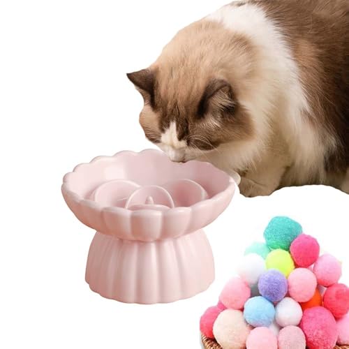 SUYUKU Katzennäpfe für langsames Füttern, erhöhtes Haustierfutter für Nackenstütze, Keramik, Haustiernapf, Anti-Erbrechen, Katzenfutterteller mit Katzenspielzeugball für Katzen, Welpen, Hunde (Rosa SUYUKU Katzennäpfe für langsames Füttern, erhöhtes Haustierfutter für Nackenstütze, Keramik, Haustiernapf, Anti-Erbrechen, Katzenfutterteller mit Katzenspielzeugball für Katzen, Welpen, Hunde (Rosa von SUYUKU