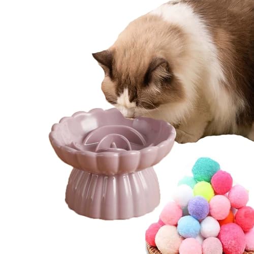 SUYUKU Katzennäpfe für langsames Füttern, erhöhtes Haustierfutter für Nackenstütze, Keramik, Haustiernapf, Anti-Erbrechen, Katzenfutterteller mit Katzenspielzeugball für Katzen, Welpen, Hunde (lila SUYUKU Katzennäpfe für langsames Füttern, erhöhtes Haustierfutter für Nackenstütze, Keramik, Haustiernapf, Anti-Erbrechen, Katzenfutterteller mit Katzenspielzeugball für Katzen, Welpen, Hunde (lila von SUYUKU