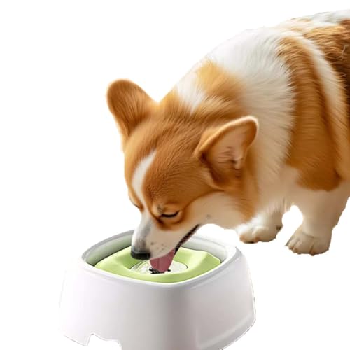 SUYUKU Wassernapf für Hunde, kein Verschütten, langsames Trinken, Haustier-Wasserspender, 1,5 l, spritzwassergeschützt, für Welpen, Hunde und Katzen, schwimmender Wassernapf, verstellbares Becken SUYUKU Wassernapf für Hunde, kein Verschütten, langsames Trinken, Haustier-Wasserspender, 1,5 l, spritzwassergeschützt, für Welpen, Hunde und Katzen, schwimmender Wassernapf, verstellbares Becken von SUYUKU