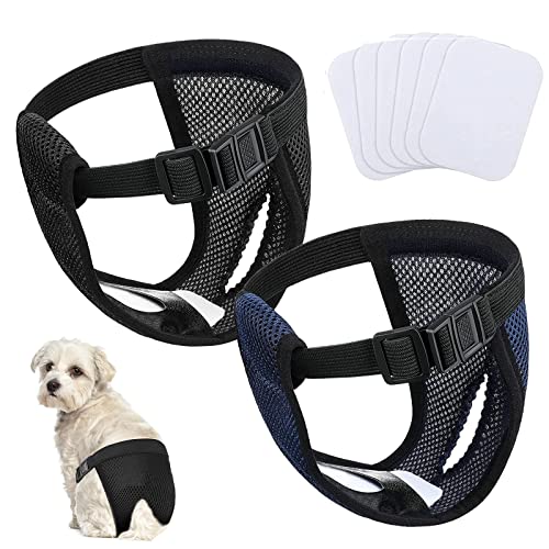 SUpoetry 2 Stück Hundehöschen Läufigkeit, Läufigkeitshose, Höschen für Hunde Läufigkeit, Schutzhose bei Läufigkeit für Hündinnen, mit 6 Damenbinde, für Weibchen Hunde Läufigkeit Schwarz und Blau SUpoetry 2 Stück Hundehöschen Läufigkeit, Läufigkeitshose, Höschen für Hunde Läufigkeit, Schutzhose bei Läufigkeit für Hündinnen, mit 6 Damenbinde, für Weibchen Hunde Läufigkeit Schwarz und Blau von SUpoetry