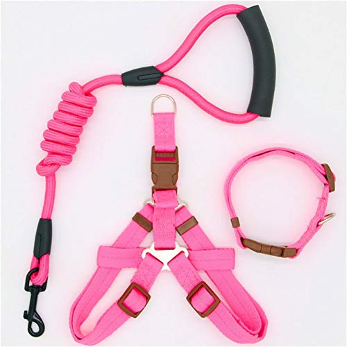 SVAASA Standard Dog Leashes， Hundeleine Nylon Haustierleine Katze läuft oder trainiert Kragen und Kabelbaum (Color : Pink) von SVAASA