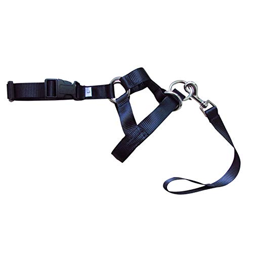 SVAASA Standard Dog Leashes， Hundetraining Haustierhundkopfkragen sanftle Seilleine Training Hundehalsband (Color : A, Size : 2) von SVAASA