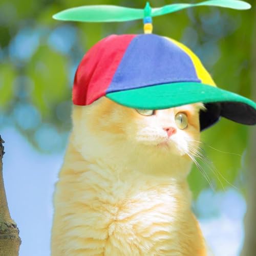 S/M/L Hundemütze Mit Propeller, Bunte Propellermütze Lustige Propellerkappe, Propeller Mütze, Sonnenhut, Weiche Und Bequeme Baseballkappe Für Welpen, Für Kleine Hunde, Katzen S/M/L Hundemütze Mit Propeller, Bunte Propellermütze Lustige Propellerkappe, Propeller Mütze, Sonnenhut, Weiche Und Bequeme Baseballkappe Für Welpen, Für Kleine Hunde, Katzen von SVCEQZE