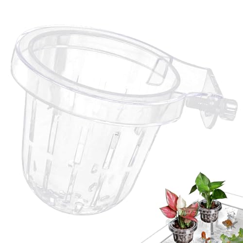 SVCEQZE Aquarium-Pflanzenhalter, transparent, Aquarium-Pflanzenhalter, transparent,Aquatischer Hängetopf - Hängende Wasserpflanzgefäße für Aquariendekorationen, Pflanzen für lebende Aquarienpflanzen SVCEQZE Aquarium-Pflanzenhalter, transparent, Aquarium-Pflanzenhalter, transparent,Aquatischer Hängetopf - Hängende Wasserpflanzgefäße für Aquariendekorationen, Pflanzen für lebende Aquarienpflanzen von SVCEQZE