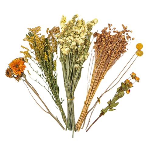 SVCEQZE Blumenhamster-Bettwäsche 80 g Hamste-r Getrocknete Flowe-r Einstreu Getrocknete F-Senker Hamste-r Kleintier-Blume Lebensraum-Dekor Natürliche Getreideohr-Blume, Lebensraum-Dekor-Set für SVCEQZE Blumenhamster-Bettwäsche 80 g Hamste-r Getrocknete Flowe-r Einstreu Getrocknete F-Senker Hamste-r Kleintier-Blume Lebensraum-Dekor Natürliche Getreideohr-Blume, Lebensraum-Dekor-Set für von SVCEQZE