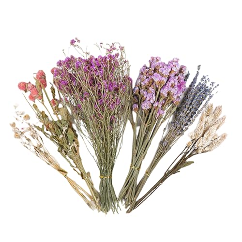 SVCEQZE Blumenhamster-Bettwäsche 80 g Hamste-r Getrocknete Flowe-r Einstreu Getrocknete F-Senker Hamste-r Kleintier-Blume Lebensraum-Dekor Natürliche Getreideohr-Blume, Lebensraum-Dekor-Set für SVCEQZE Blumenhamster-Bettwäsche 80 g Hamste-r Getrocknete Flowe-r Einstreu Getrocknete F-Senker Hamste-r Kleintier-Blume Lebensraum-Dekor Natürliche Getreideohr-Blume, Lebensraum-Dekor-Set für von SVCEQZE