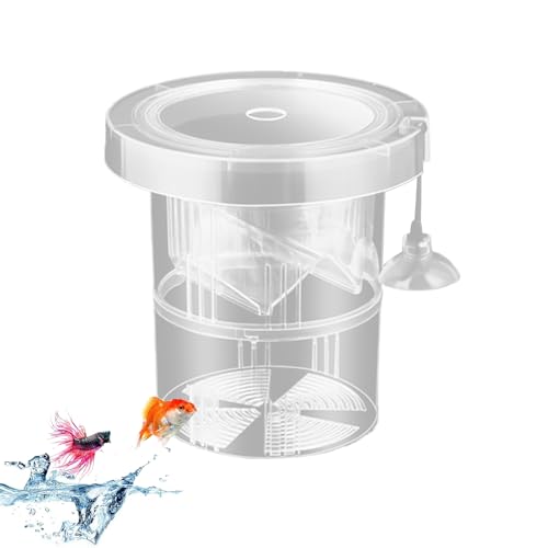 SVCEQZE Brutschachtel für Fischtank, Fischzüchter,Schwimmende Aquarium -Züchterbox | Einseitiger Einstellbarer wiederverwendbarer Teiler für das Laichen des Kindergartens für die Akklimatisanlage SVCEQZE Brutschachtel für Fischtank, Fischzüchter,Schwimmende Aquarium -Züchterbox | Einseitiger Einstellbarer wiederverwendbarer Teiler für das Laichen des Kindergartens für die Akklimatisanlage von SVCEQZE