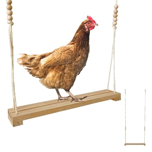 SVCEQZE Hühner-Sitz-Schaukel – Hühnerholzständer, Hahn-Schaukelspielzeug, Huhn-Anreicherung, Schaukelspielzeug für Geflügel, Hahn, Hühner, Küken, Haustier SVCEQZE Hühner-Sitz-Schaukel – Hühnerholzständer, Hahn-Schaukelspielzeug, Huhn-Anreicherung, Schaukelspielzeug für Geflügel, Hahn, Hühner, Küken, Haustier von SVCEQZE