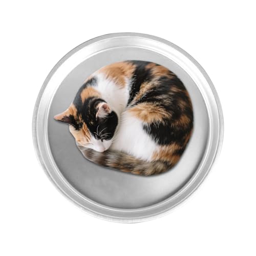 SVCEQZE Hundekühlbett - 40 cm Alu-Kühlelement für Katzen,rutschfeste Waschbare Haustierliege für Heißes Wetter Sommer Innen Außen Nutzung SVCEQZE Hundekühlbett - 40 cm Alu-Kühlelement für Katzen,rutschfeste Waschbare Haustierliege für Heißes Wetter Sommer Innen Außen Nutzung von SVCEQZE