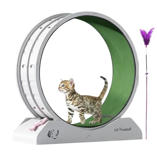 SVCEQZE Katzen-Trainingsrad - Fitnessgeräte für Kätzchen | Laufrad mit Teaser für Indoor-Katzen Gewichtsverlust, Kätzchenlaufband mit geringem Lärm SVCEQZE Katzen-Trainingsrad - Fitnessgeräte für Kätzchen | Laufrad mit Teaser für Indoor-Katzen Gewichtsverlust, Kätzchenlaufband mit geringem Lärm von SVCEQZE