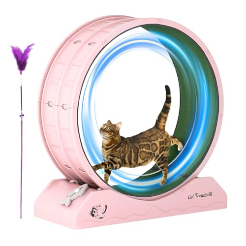 SVCEQZE Laufrad für Katzen - Fitnessgeräte für Kätzchen | Laufrad mit Teaser für Indoor-Katzen Gewichtsverlust Kätzchen Laufband mit geringem Lärm SVCEQZE Laufrad für Katzen - Fitnessgeräte für Kätzchen | Laufrad mit Teaser für Indoor-Katzen Gewichtsverlust Kätzchen Laufband mit geringem Lärm von SVCEQZE