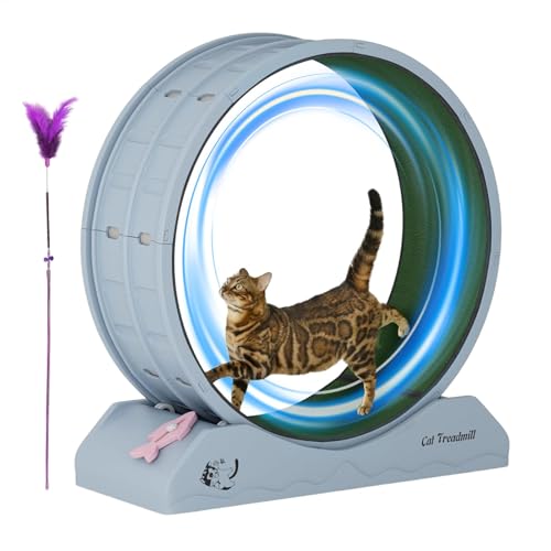 SVCEQZE Laufrad für Katzen | Kätzchen Laufband für Fitness | Laufrad mit Teaser für Indoor-Katzen Gewichtsverlust, Kätzchen Laufband mit geringem Lärm SVCEQZE Laufrad für Katzen | Kätzchen Laufband für Fitness | Laufrad mit Teaser für Indoor-Katzen Gewichtsverlust, Kätzchen Laufband mit geringem Lärm von SVCEQZE