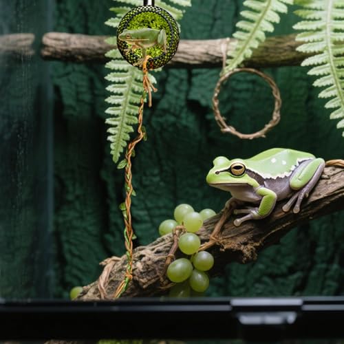 SVCEQZE Springspinnen Haus - Naturnaher Moosgitter-Kletterkäfig für Spinnen,Lebensraum Für Hundertfüßer Reptilien Füttern Ruheplatz Zuhause Klassenzimmer Geckos & Kleintiere von SVCEQZE