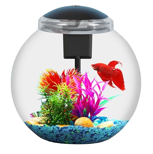 SW PRODUCTS Aquarium-Starter-Kits, ideal für Betta/Nano/Goldfische, Betta-Fischbecken mit Filter und Licht, Netzadapter, transparenter schlagfester Kunststoff, Heimdekoration SW PRODUCTS Aquarium-Starter-Kits, ideal für Betta/Nano/Goldfische, Betta-Fischbecken mit Filter und Licht, Netzadapter, transparenter schlagfester Kunststoff, Heimdekoration von SW PRODUCTS