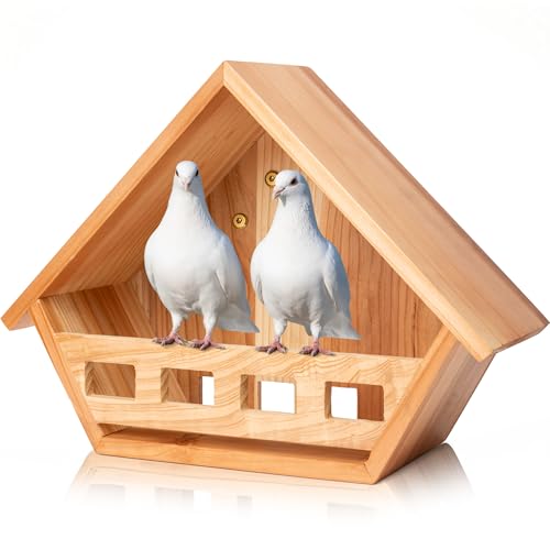 SWANGSA Zedern-Taube, Nistkasten, Vogelhäuser für Tauben und andere kleine Vögel im Freien von SWANGSA