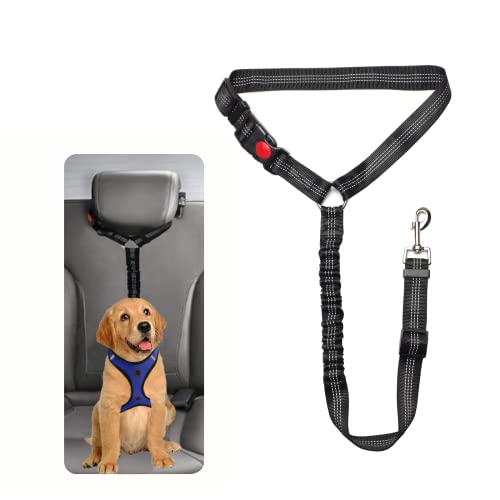 Sicherheitsgeschirr Hund - Anschnallgurt Hund Auto für Kleine Hunde Mittelgroße Hunde Welpen Zubehör (Schwarz) Sicherheitsgeschirr Hund - Anschnallgurt Hund Auto für Kleine Hunde Mittelgroße Hunde Welpen Zubehör (Schwarz) von SWAUSWAUK