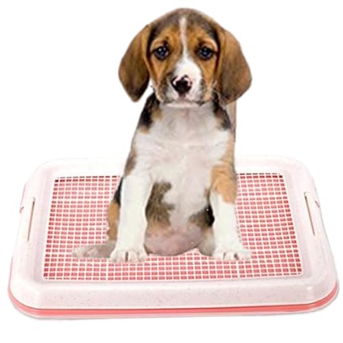 Hundekalabett, doppelte Schicht Gitterhund Pee Pads, wiederverwendbares waschbares Haustier-Flach-Toilettengitter mit Seitenbefestigungsmittel, robuster PP-Hundetoilette Innen mit nicht rutschem Bod Hundekalabett, doppelte Schicht Gitterhund Pee Pads, wiederverwendbares waschbares Haustier-Flach-Toilettengitter mit Seitenbefestigungsmittel, robuster PP-Hundetoilette Innen mit nicht rutschem Bod von SWEETBIUTI