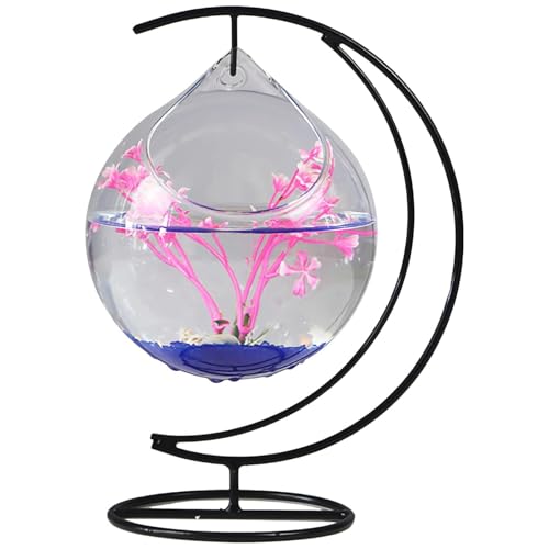 Kleiner Fischtank, klare Fischschüssel, hängende Schreibtisch Fischtankglas Schüssel mit Eisenhaken Ständer Goldfischschale, Mini -Aquarium -Fischschüssel Vase für Büro -Heimtischdekoration Kleiner Fischtank, klare Fischschüssel, hängende Schreibtisch Fischtankglas Schüssel mit Eisenhaken Ständer Goldfischschale, Mini -Aquarium -Fischschüssel Vase für Büro -Heimtischdekoration von SWEETBIUTI