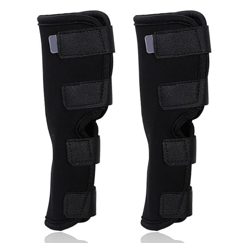 SWEETBIUTI Hundekniescheibe 2pcs Neopren Hunde Bein Bein Schutzschutz Hundeland Weich elastische, schockdes thermische Knieklammer Hundebein, Hundeknieklammer für zerrissene ACL -Hinterbein SWEETBIUTI Hundekniescheibe 2pcs Neopren Hunde Bein Bein Schutzschutz Hundeland Weich elastische, schockdes thermische Knieklammer Hundebein, Hundeknieklammer für zerrissene ACL -Hinterbein von SWEETBIUTI