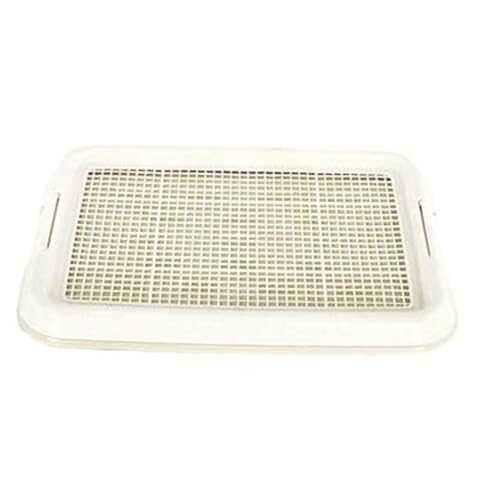 Töpfchen -Pad -Halter Training Toilette Anti -Schlupf Abnehmbar sicheres weiches Mesh Training Töpfchenpulverhalterhalter für große kleine mittelgroße Innenhütten Tierversorgungen Töpfchen -Pad -Halter Training Toilette Anti -Schlupf Abnehmbar sicheres weiches Mesh Training Töpfchenpulverhalterhalter für große kleine mittelgroße Innenhütten Tierversorgungen von SWEETBIUTI