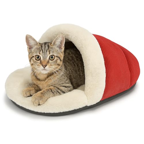 SWIFTSUPPLIES Katzen-Cornucopia Sleeper - Gemütliches Haustierbett mit Plüsch-Innenseite und strapazierfähigem Design, perfekt für Katzen und kleine Haustiere, Rot und Creme, maschinenwaschbar SWIFTSUPPLIES Katzen-Cornucopia Sleeper - Gemütliches Haustierbett mit Plüsch-Innenseite und strapazierfähigem Design, perfekt für Katzen und kleine Haustiere, Rot und Creme, maschinenwaschbar von SWIFTSUPPLIES