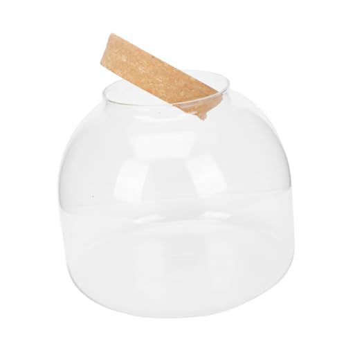 SWOOMEY DIY Mikrolandschaft Glasflasche Terrarium Ökologisches Pflanzgefäß mit Transparentem für Miniaturpflanzen und Kreative Dekoration Schreibtisch oder Wohnzimmer SWOOMEY DIY Mikrolandschaft Glasflasche Terrarium Ökologisches Pflanzgefäß mit Transparentem für Miniaturpflanzen und Kreative Dekoration Schreibtisch oder Wohnzimmer von SWOOMEY