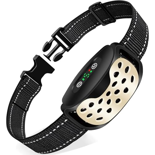 Emmalove - Pro V2AntiBellHalsband(Gold) von SWZEC
