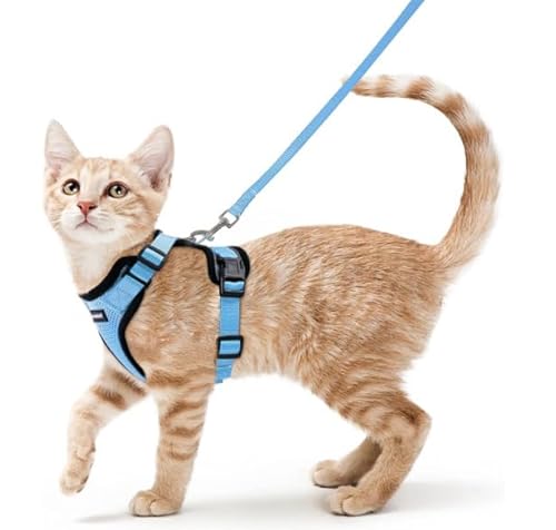 Fellnasenstube - SafeCat™ Katzengeschirr atmungsaktiv mit Leine (Babyblau,M) von SWZEC