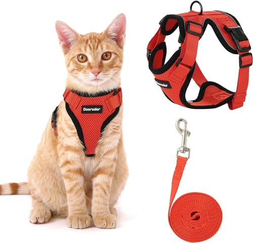 Fellnasenstube - SafeCat™ Katzengeschirr atmungsaktiv mit Leine (Rot,S) von SWZEC