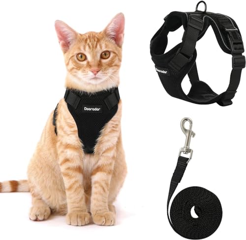 Fellnasenstube - SafeCat™ Katzengeschirr atmungsaktiv mit Leine (Schwarz,M) von SWZEC