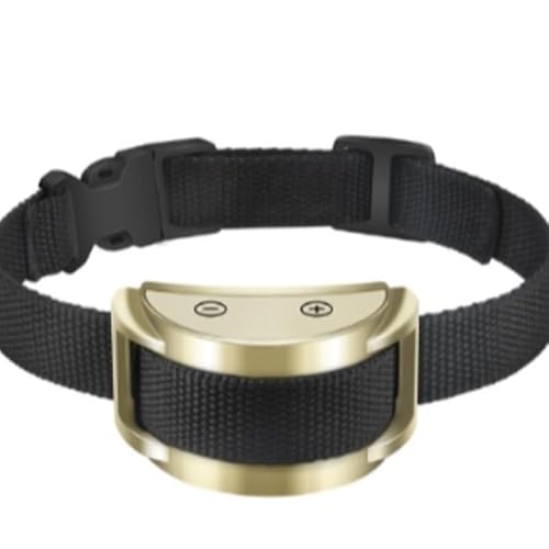 Halsband für Hunde Intelligente Bell-Erkennung 2.0 Sandsberg Gold von SWZEC