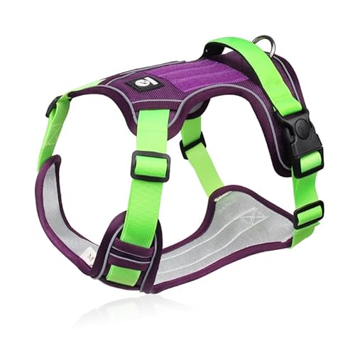 Harnais Anti-Traction lumineux petitepattoune Lila M von SWZEC