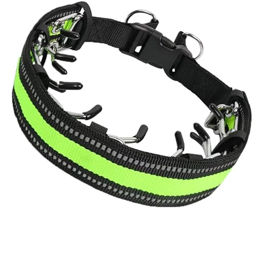 KnuddelPfoten Kilian | No-Pull Halsband(M,Grün) von SWZEC