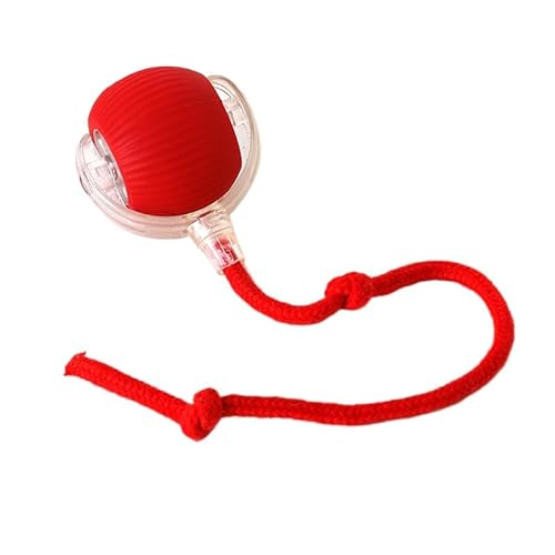 Pfotenmond Magie-Ball (3-teiliges Set) von SWZEC