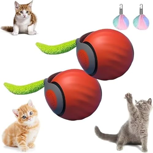 SWZEC ChaseMaster Pro Katzenspielzeug von SWZEC