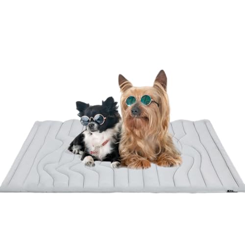 SWZEC Dr.Pfoten Pfotenchill Die Innovative Kühlmatte Für Hunde SWZEC Dr.Pfoten Pfotenchill Die Innovative Kühlmatte Für Hunde von SWZEC