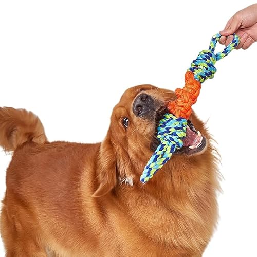 SWZEC Paw Moon Unzerstörbare Hundespielzeugleine (Blau 3Stück) von SWZEC