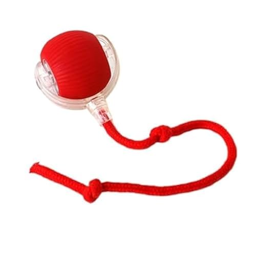 SWZEC Power-Ball - Interaktiver Spielball für Hunde | Robustes, selbstbewegendes Hundespielzeug für aktive Beschäftigung | Pfotenstern(2X Power-Ball,Rot) von SWZEC