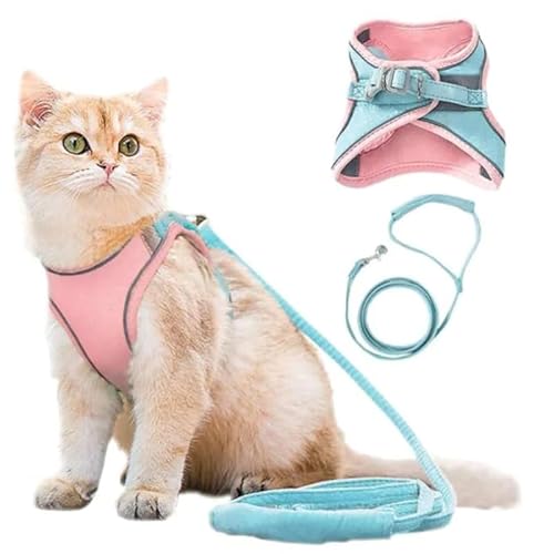 Wahre Katzenliebe™ - atmungsaktives Katzengeschirr + Leine (M-2-4KG,Blau/Pink) von SWZEC