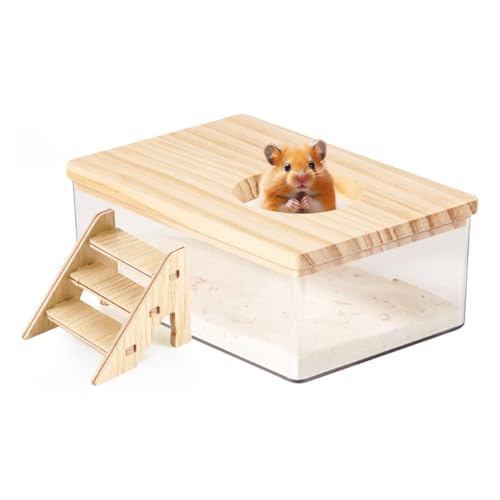 SXTDKMJ Hamster Sandbad, Hamster Sand Badezimmer Transparent Acryl Sandbehälter mit Holzleiter Kleintiere Graben Sandkasten Hamster Zubehör SXTDKMJ Hamster Sandbad, Hamster Sand Badezimmer Transparent Acryl Sandbehälter mit Holzleiter Kleintiere Graben Sandkasten Hamster Zubehör von SXTDKMJ
