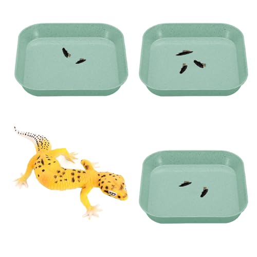 3 Stück Leopard Gecko Töpfchenunterlage, tragbares Gecko-Tankzubehör, Reptilientoiletten für Reptilien, Eidechsen (grün) von SXYYDSG