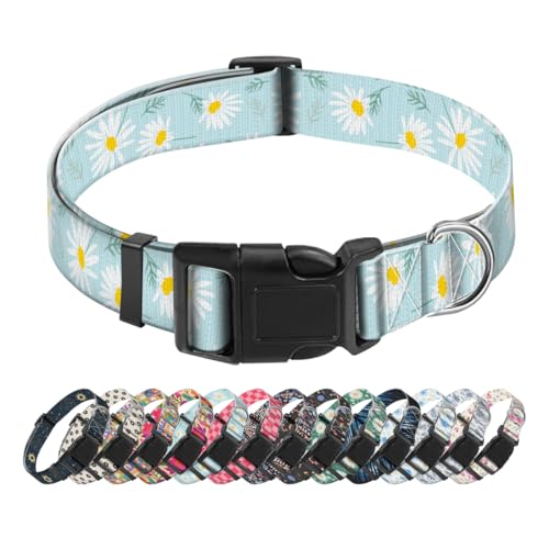 SXboxing Hundehalsband, niedliches Hundehalsband für kleine, mittelgroße und große Hunde, personalisierbar, weich, mit Schnellverschluss-Schnalle zum Spazierengehen, Laufen, blaues Gänseblümchen SXboxing Hundehalsband, niedliches Hundehalsband für kleine, mittelgroße und große Hunde, personalisierbar, weich, mit Schnellverschluss-Schnalle zum Spazierengehen, Laufen, blaues Gänseblümchen von SXboxing