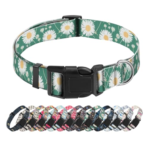SXboxing Hundehalsband, niedliches Hundehalsband für kleine, mittelgroße und große Hunde, personalisierbar, weich, mit Schnellverschluss-Schnalle zum Spazierengehen, Laufen, grünes Gänseblümchen SXboxing Hundehalsband, niedliches Hundehalsband für kleine, mittelgroße und große Hunde, personalisierbar, weich, mit Schnellverschluss-Schnalle zum Spazierengehen, Laufen, grünes Gänseblümchen von SXboxing
