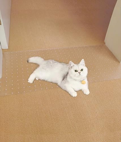 SYANDLVY Teppichschutz für Haustiere, Katzenkratzpads für Tür, Anti-Kratzer unter der Tür, Kätzchen-Kratz-Stopper, leicht zu schneiden, Kunststoffschutz-Teppich, 100 cm SYANDLVY Teppichschutz für Haustiere, Katzenkratzpads für Tür, Anti-Kratzer unter der Tür, Kätzchen-Kratz-Stopper, leicht zu schneiden, Kunststoffschutz-Teppich, 100 cm von SYANDLVY