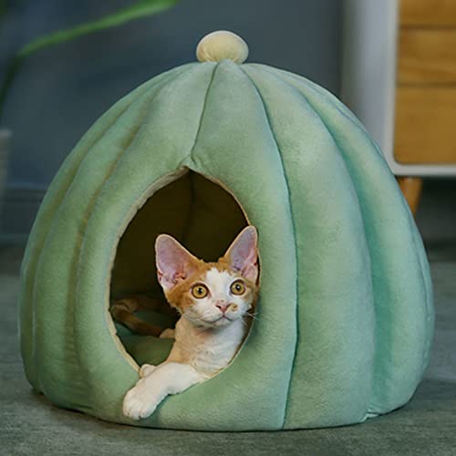 Cat Cave, 2-in-1 multifunktionales Cat Cave Bett für Hauskatzen. Katzenzelt, abnehmbare, waschbare, gepolsterte Kissen, weiches, selbstheizendes Katzenbett Cat Cave, 2-in-1 multifunktionales Cat Cave Bett für Hauskatzen. Katzenzelt, abnehmbare, waschbare, gepolsterte Kissen, weiches, selbstheizendes Katzenbett von SYCARPET