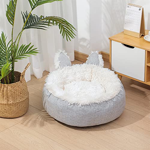 Kaninchenohr-förmiges Katzenbett für Hauskatzen, maschinenwaschbar, Flauschiges rundes Haustierbett rutschfest, beruhigend weiches Plüschkissen für kleine Hunde und Kätzchen Kaninchenohr-förmiges Katzenbett für Hauskatzen, maschinenwaschbar, Flauschiges rundes Haustierbett rutschfest, beruhigend weiches Plüschkissen für kleine Hunde und Kätzchen von SYCARPET