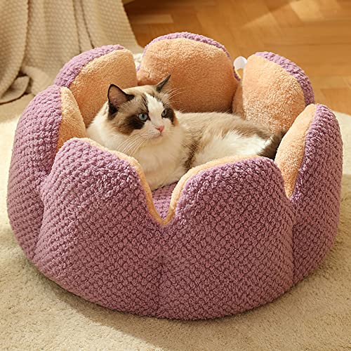 Katzenbett Hundebett Waschbare Haustierbett, Kaktus Blütenblatt Form Katzenbett Sofa, niedliche Plüsch Haustier Nest für Welpen und Katzen Katzenbett Hundebett Waschbare Haustierbett, Kaktus Blütenblatt Form Katzenbett Sofa, niedliche Plüsch Haustier Nest für Welpen und Katzen von SYCARPET